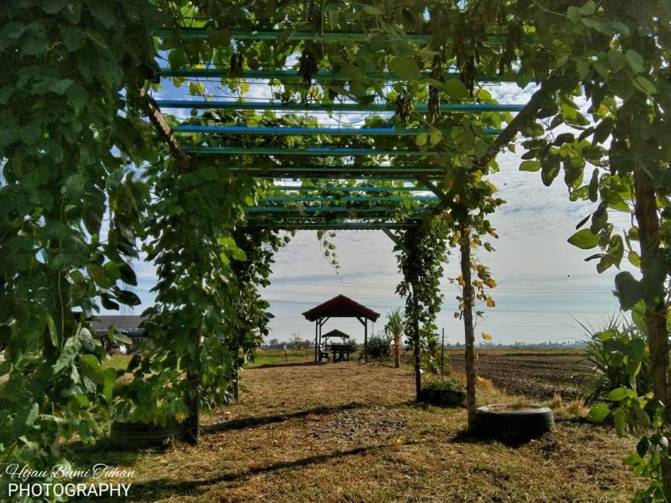 Tamteh Homestay Ayer Hitam Εξωτερικό φωτογραφία